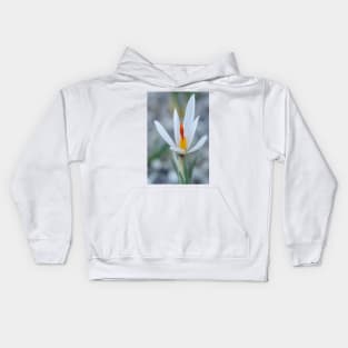 Crocus fleischeri Kids Hoodie